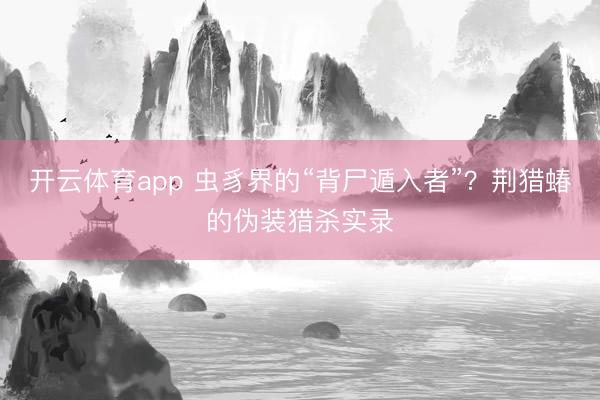 开云体育app 虫豸界的“背尸遁入者”?荆猎蝽的伪装猎杀实录