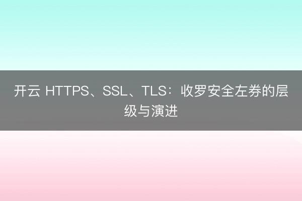 开云 HTTPS、SSL、TLS：收罗安全左券的层级与演进