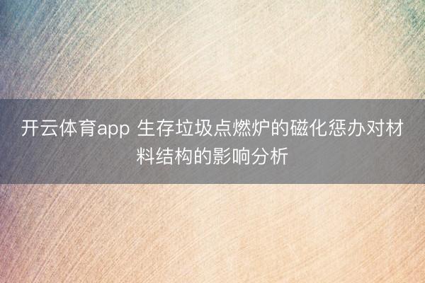 开云体育app 生存垃圾点燃炉的磁化惩办对材料结构的影响分析