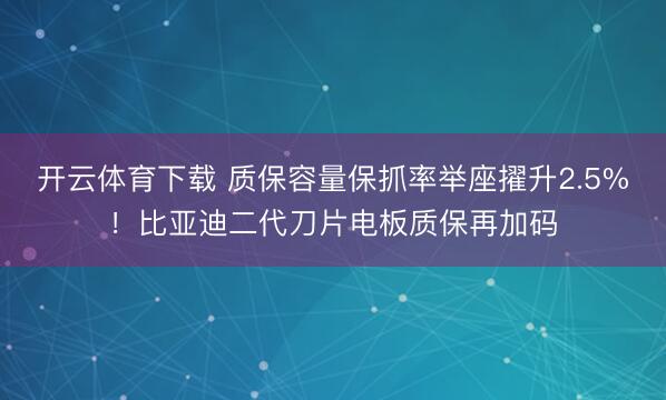 开云体育下载 质保容量保抓率举座擢升2.5%!比亚迪二代刀片电板质保再加码