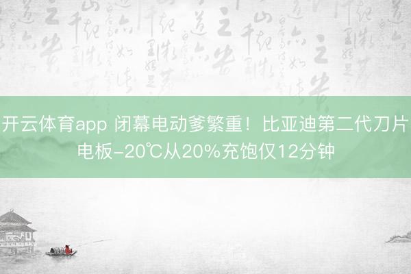 开云体育app 闭幕电动爹繁重!比亚迪第二代刀片电板-20℃从20%充饱仅12分钟