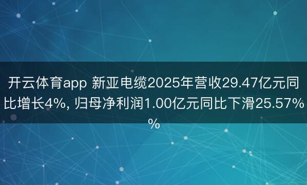 开云体育app 新亚电缆2025年营收29.47亿元同比增长4%， 归母净利润1.00亿元同比下滑25.57%