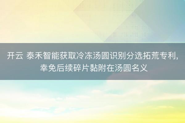 开云 泰禾智能获取冷冻汤圆识别分选拓荒专利， 幸免后续碎片黏附在汤圆名义