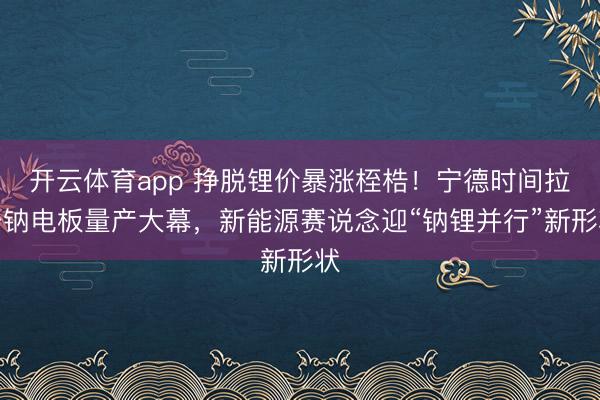 开云体育app 挣脱锂价暴涨桎梏！宁德时间拉开钠电板量产大幕，新能源赛说念迎“钠锂并行”新形状